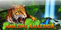 Amazing Amazonia