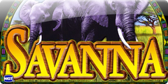 Savanna