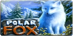 Polar Fox